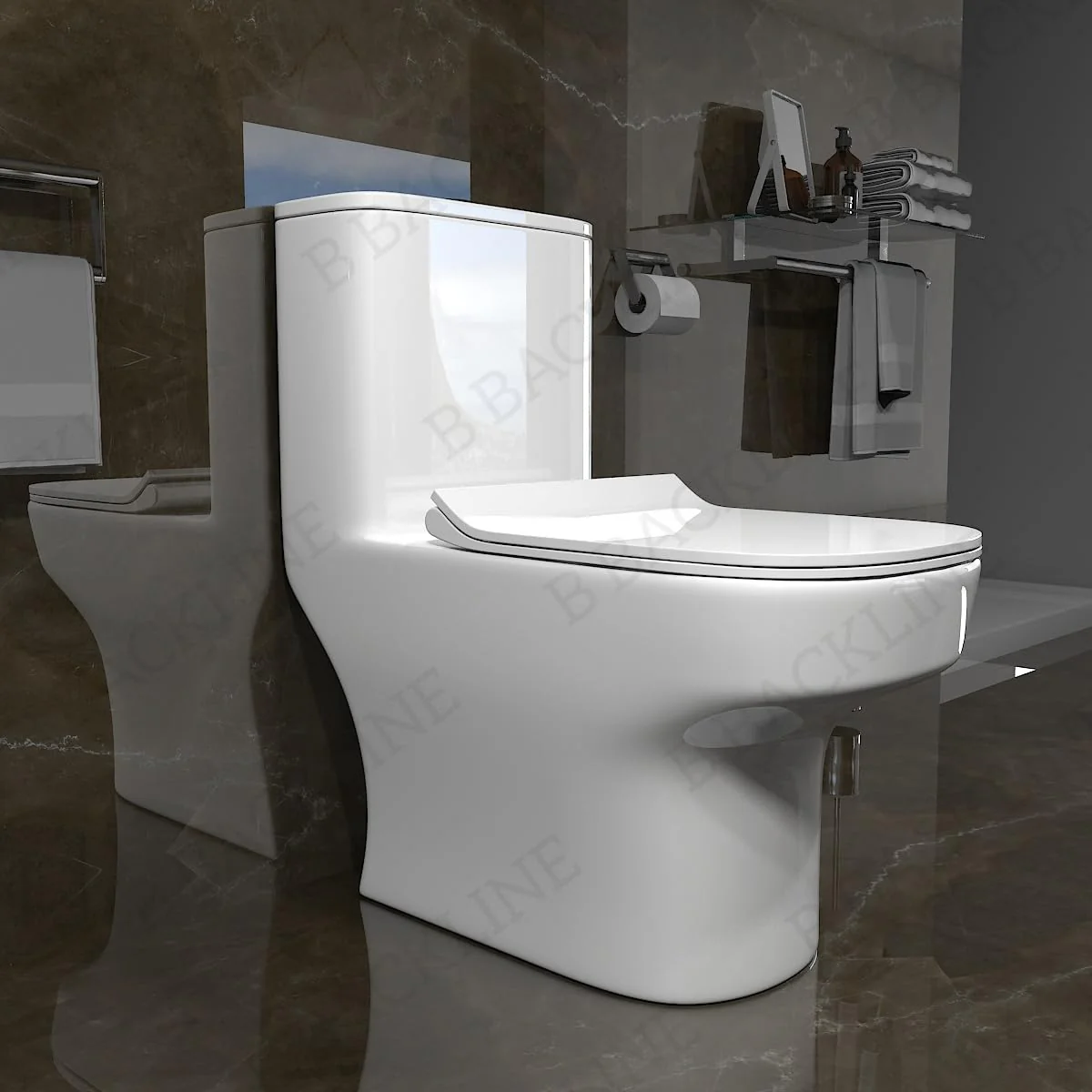 Toilet & Commode