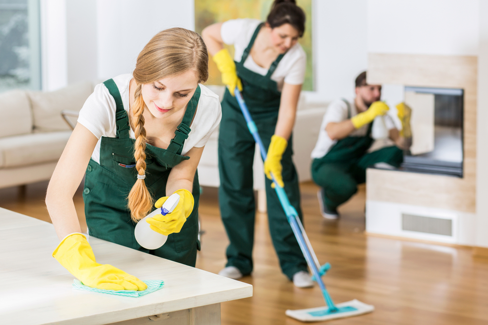 Full Home Cleaning